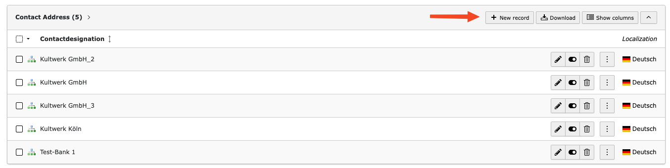 Über "New Record" erstellen Sie ein neues Item